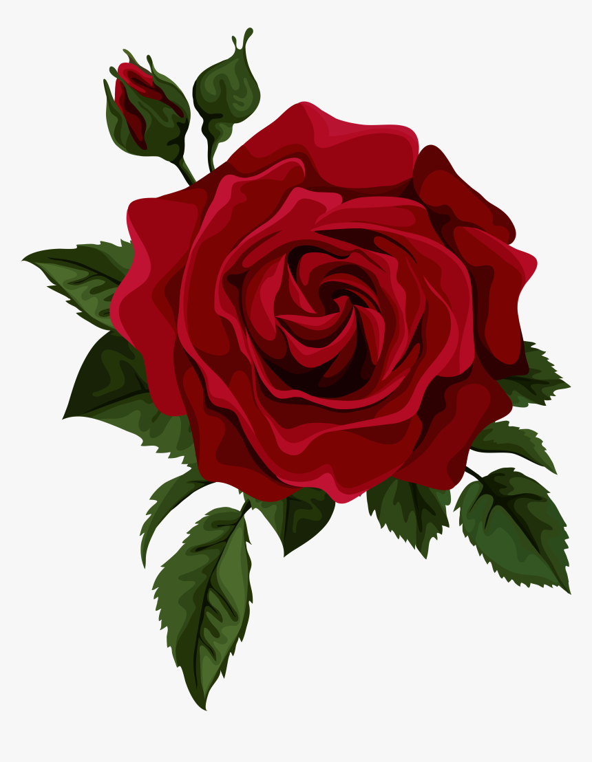 Rose Drawing Clip Art - Red Rose Drawing Png, Transparent Png