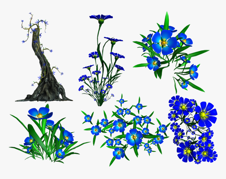 Decor,botany,clip Art,flowering Plant,gentian Family,scilla - Transparency, HD Png Download