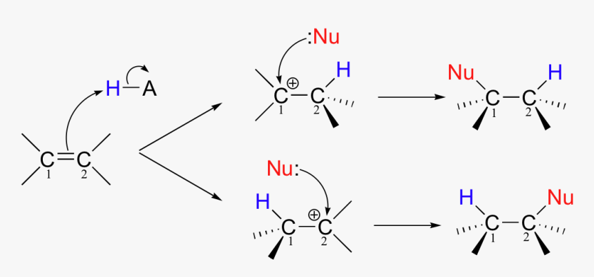 Image052 - Electrophilic Addition Alkene To Alcohol, HD Png Download