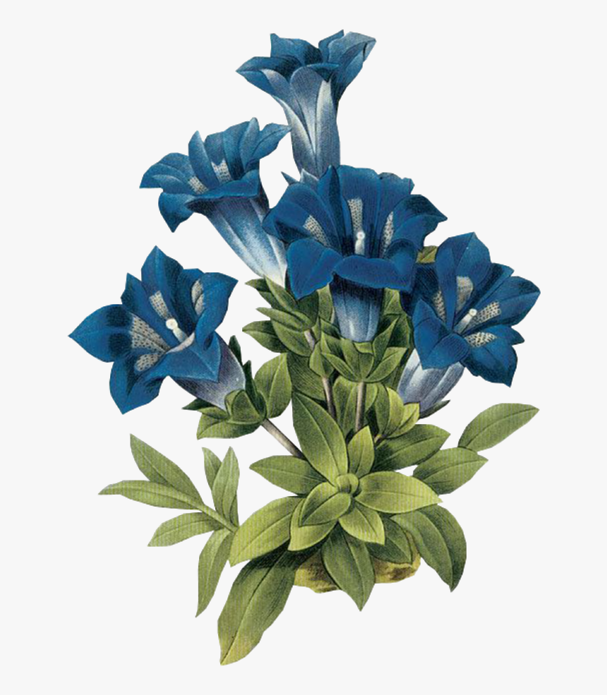 #leaves #png #green #kpopedit #edits #edit #overlay - Vintage Flowers In Blue, Transparent Png