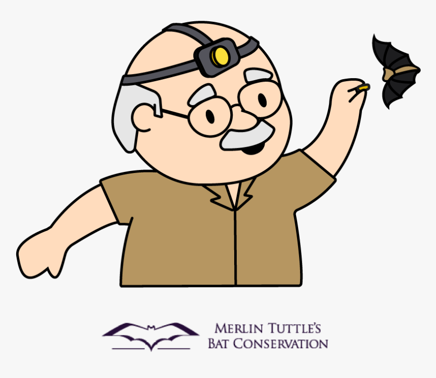 Merlin Tuttle Illustration - Cartoon, HD Png Download