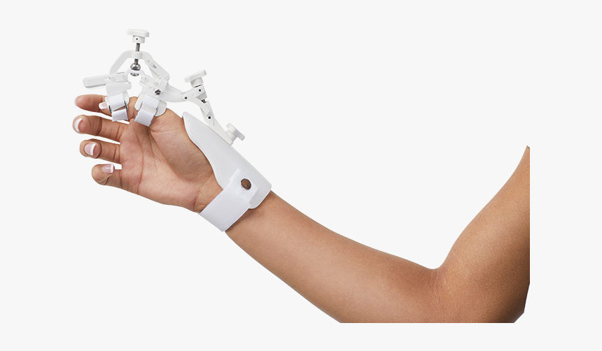 Holding Trophy, HD Png Download