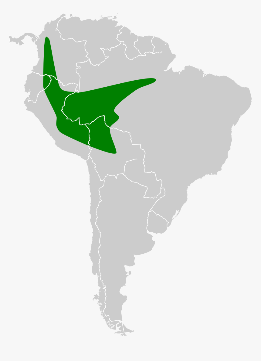 Map Of Where Chinchillas Live, HD Png Download