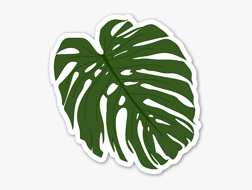 Leaf,green,monstera Deliciosa,plant,line Art,black - Palm Leaf Leaf Sticker, HD Png Download