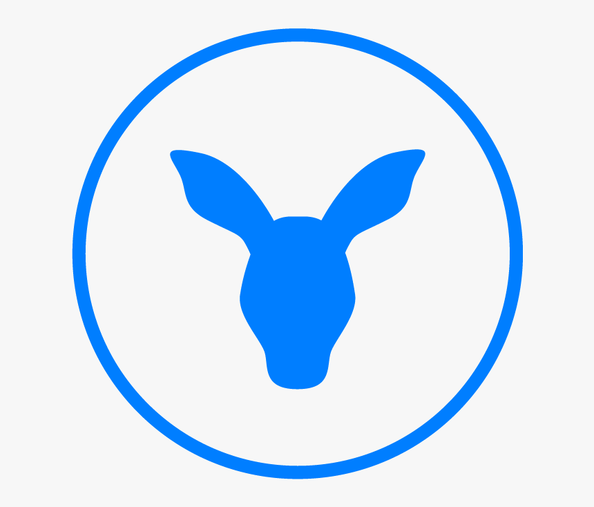 Wallaroo Media, HD Png Download