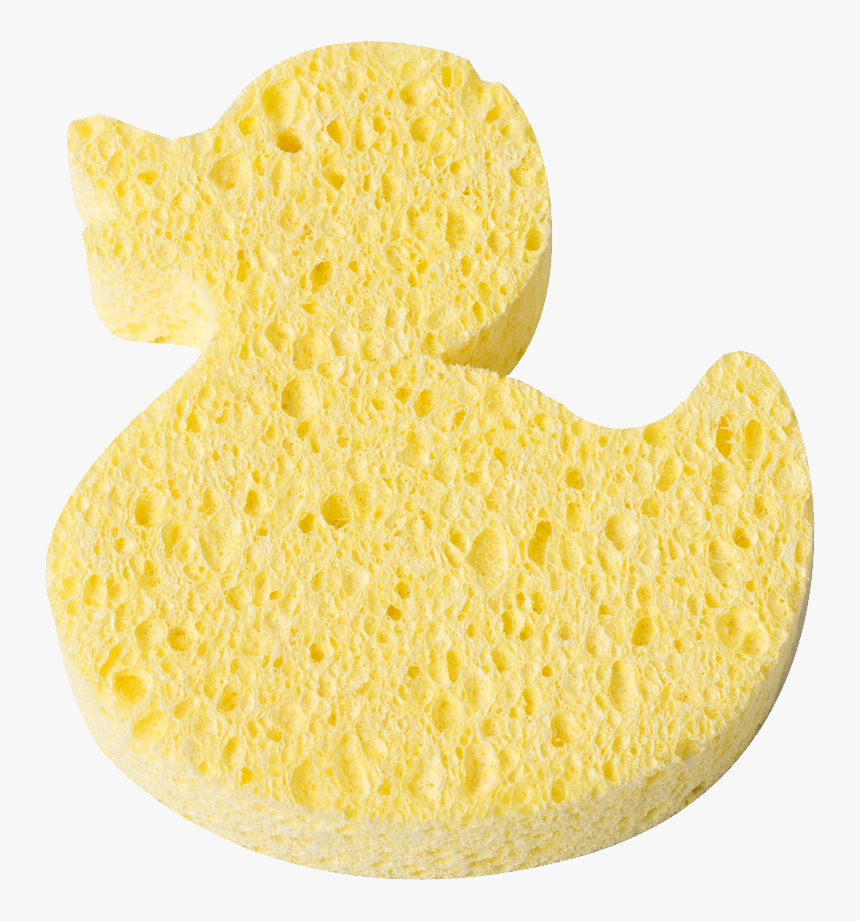 Sponge Bath Png, Transparent Png