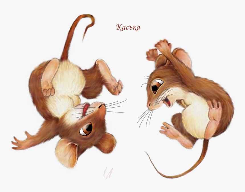Mice Happy Flips, HD Png Download