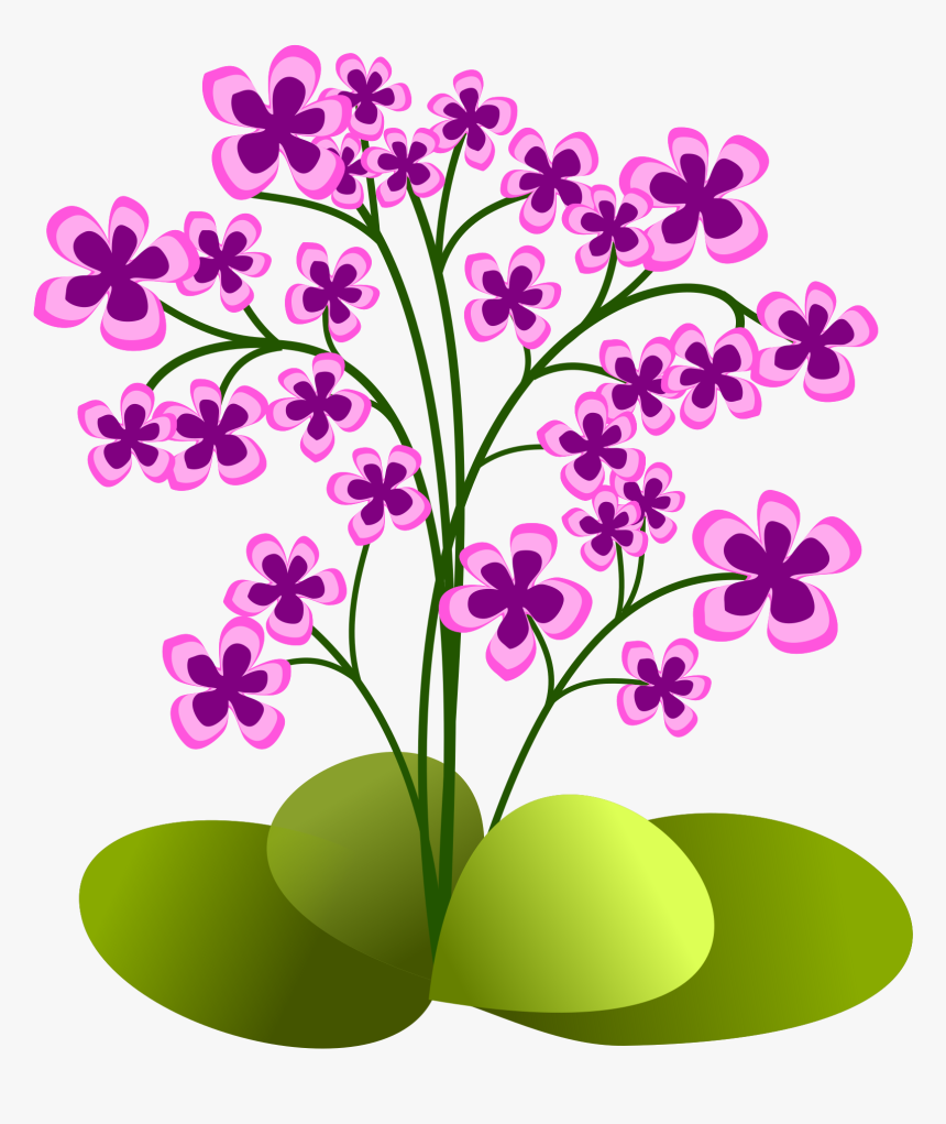 Floral Clipart Greenery, HD Png Download