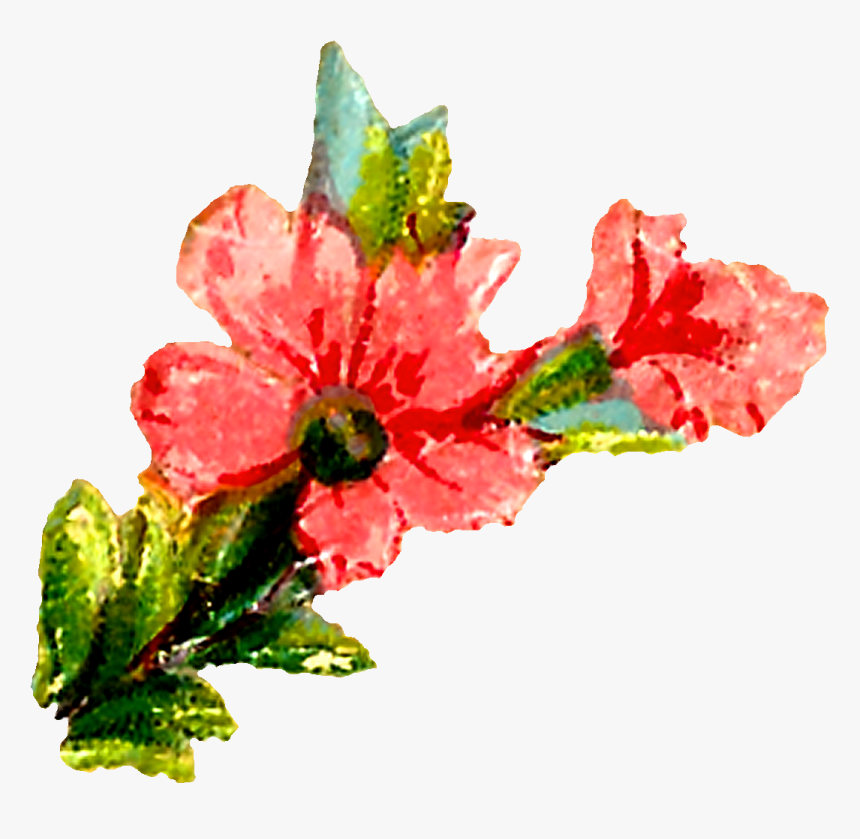 Pastel Floral Clipart Downloads, HD Png Download