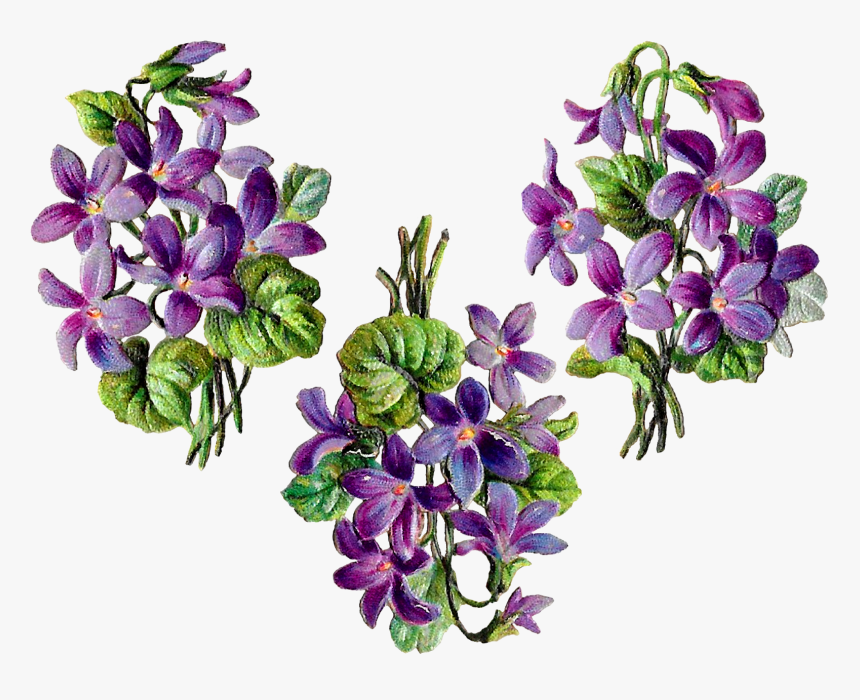 Flower Digital Bundle Wildflower Floral Craft Collage, HD Png Download