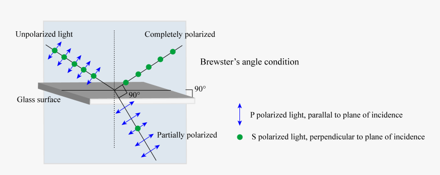 Brewster S Angle Polarization, HD Png Download