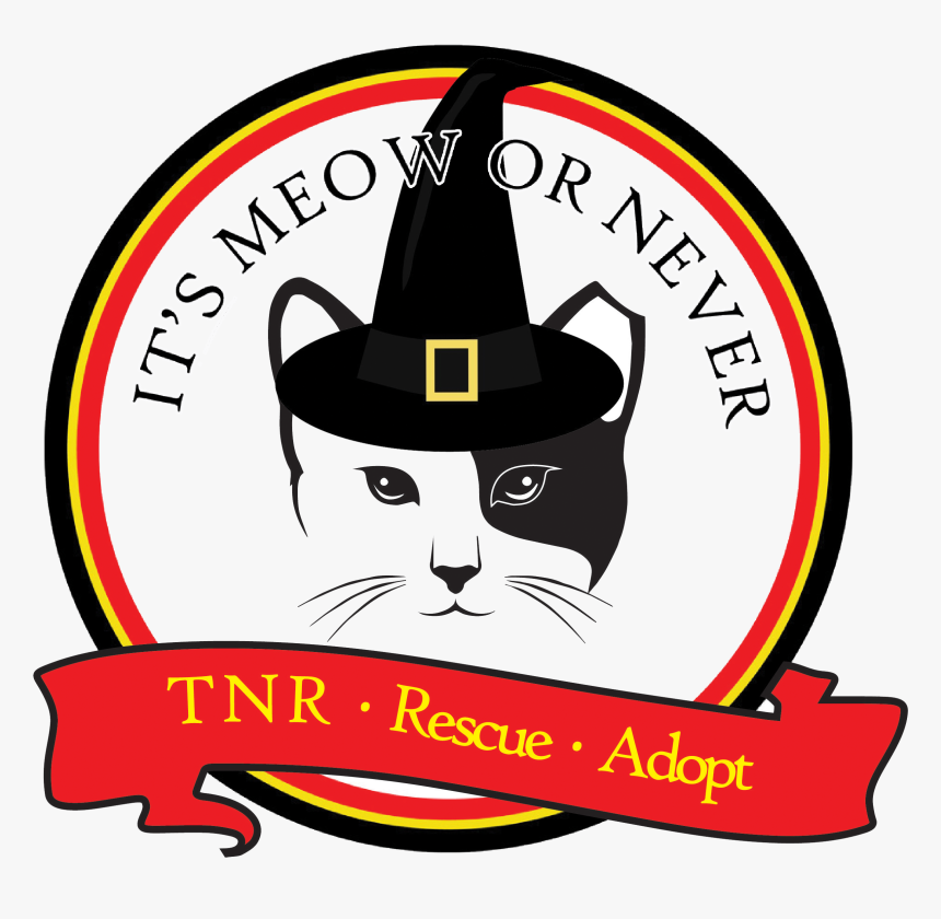 Trunk Or Treat Png, Transparent Png
