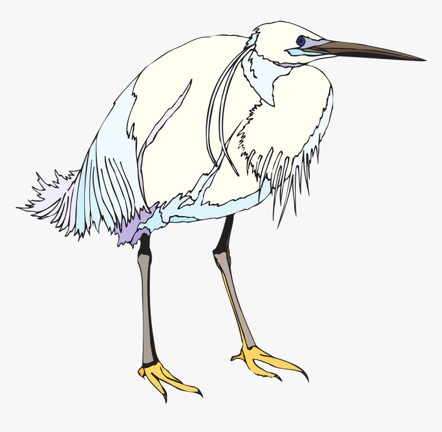 White Wings Png, Transparent Png