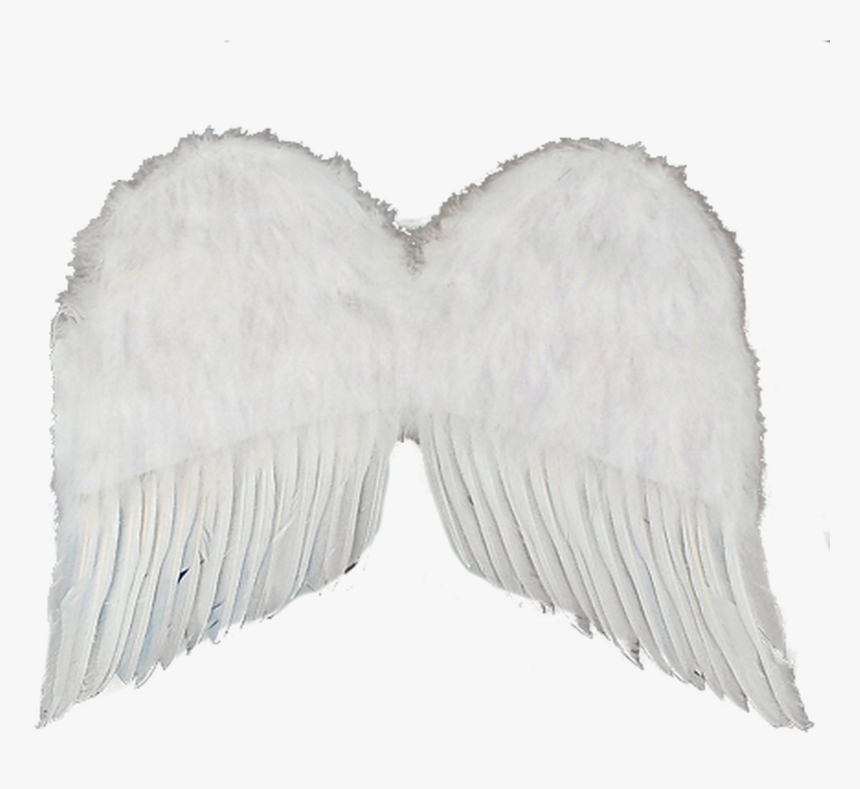 White Wings Png, Transparent Png