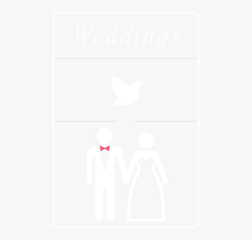 White Wings Png, Transparent Png