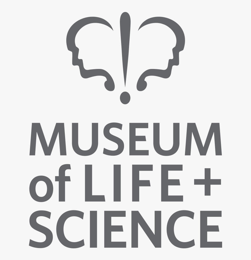 Grey - Mls, HD Png Download