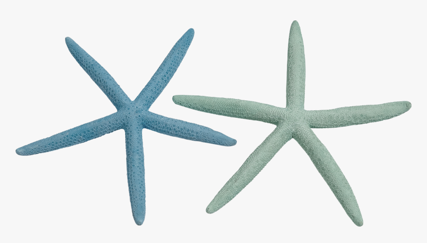 Finger Starfish 8 10 Dyed Pastel, HD Png Download