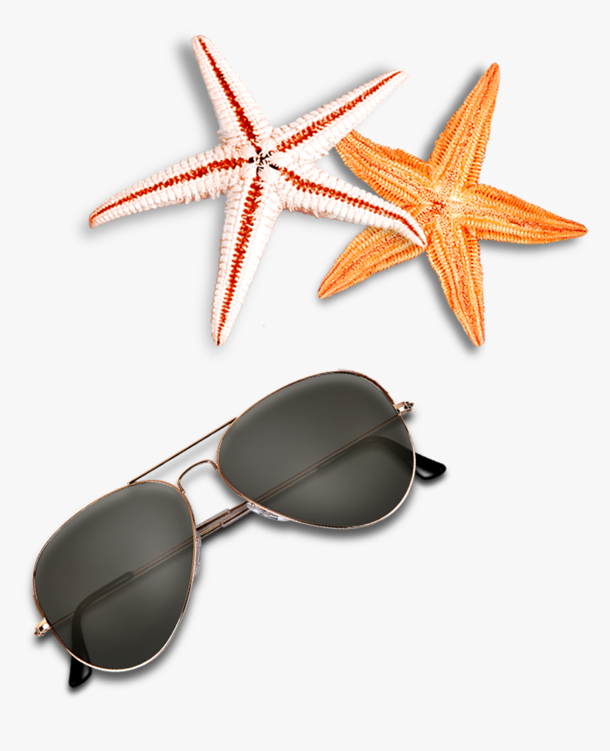 Beach Elements Sunglasses Starfish Free Clipart Hd, HD Png Download