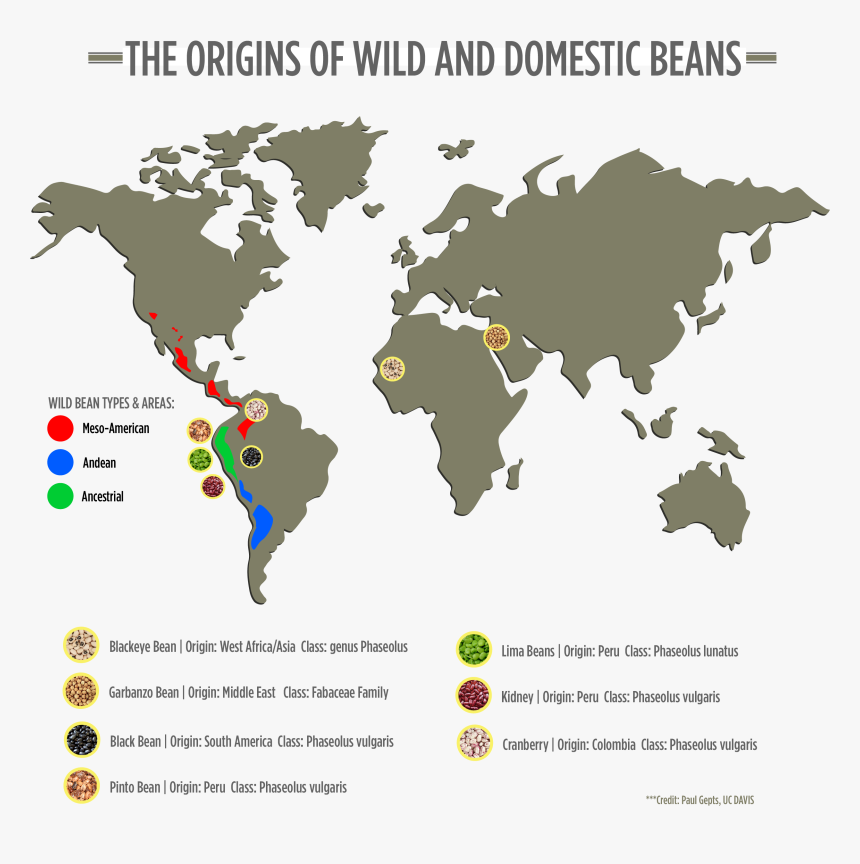 Transparent World Map Png Transparent Background, Png Download