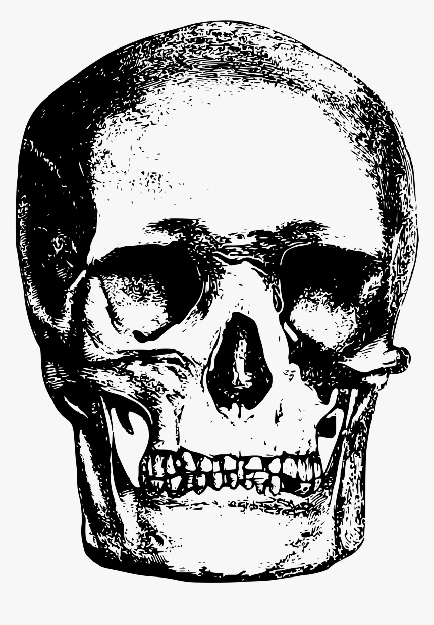 This Free Icons Png Design Of Skull, Transparent Png