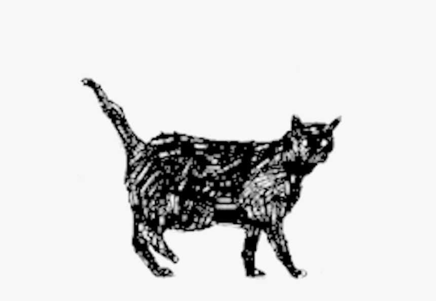 Cat Icon Png, Transparent Png