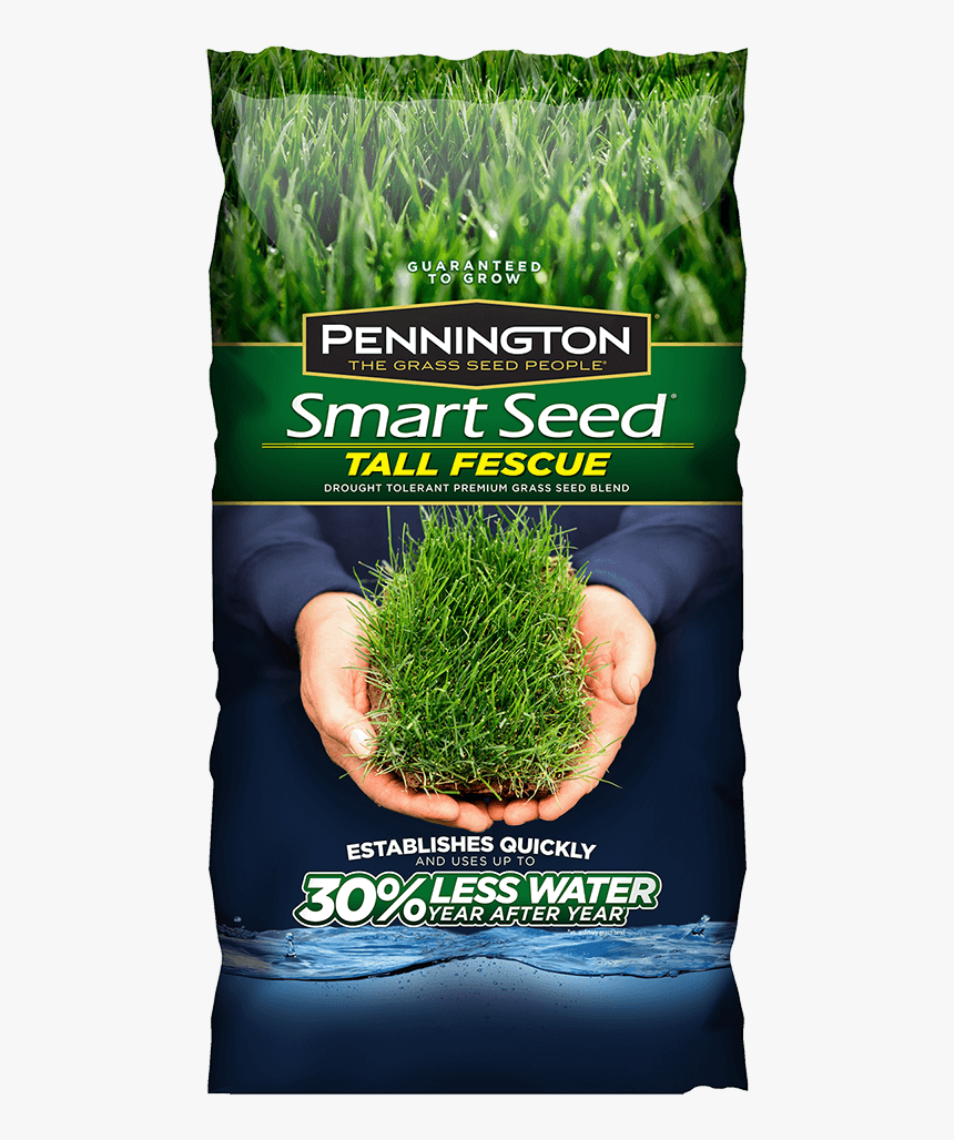 Long Grass Png, Transparent Png