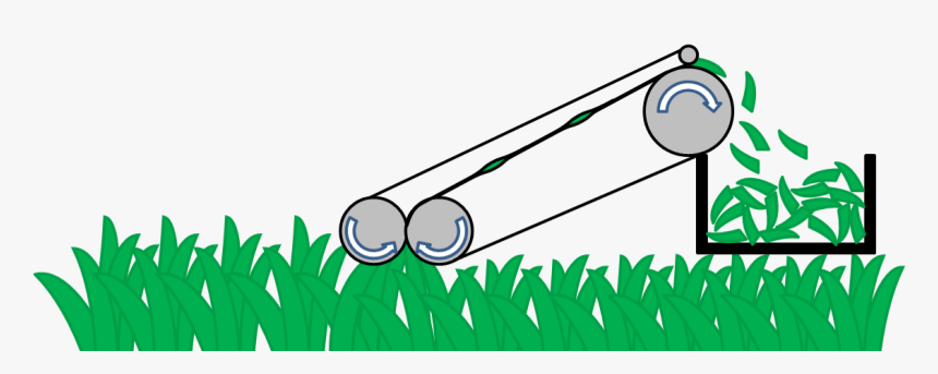 Long Grass Png, Transparent Png
