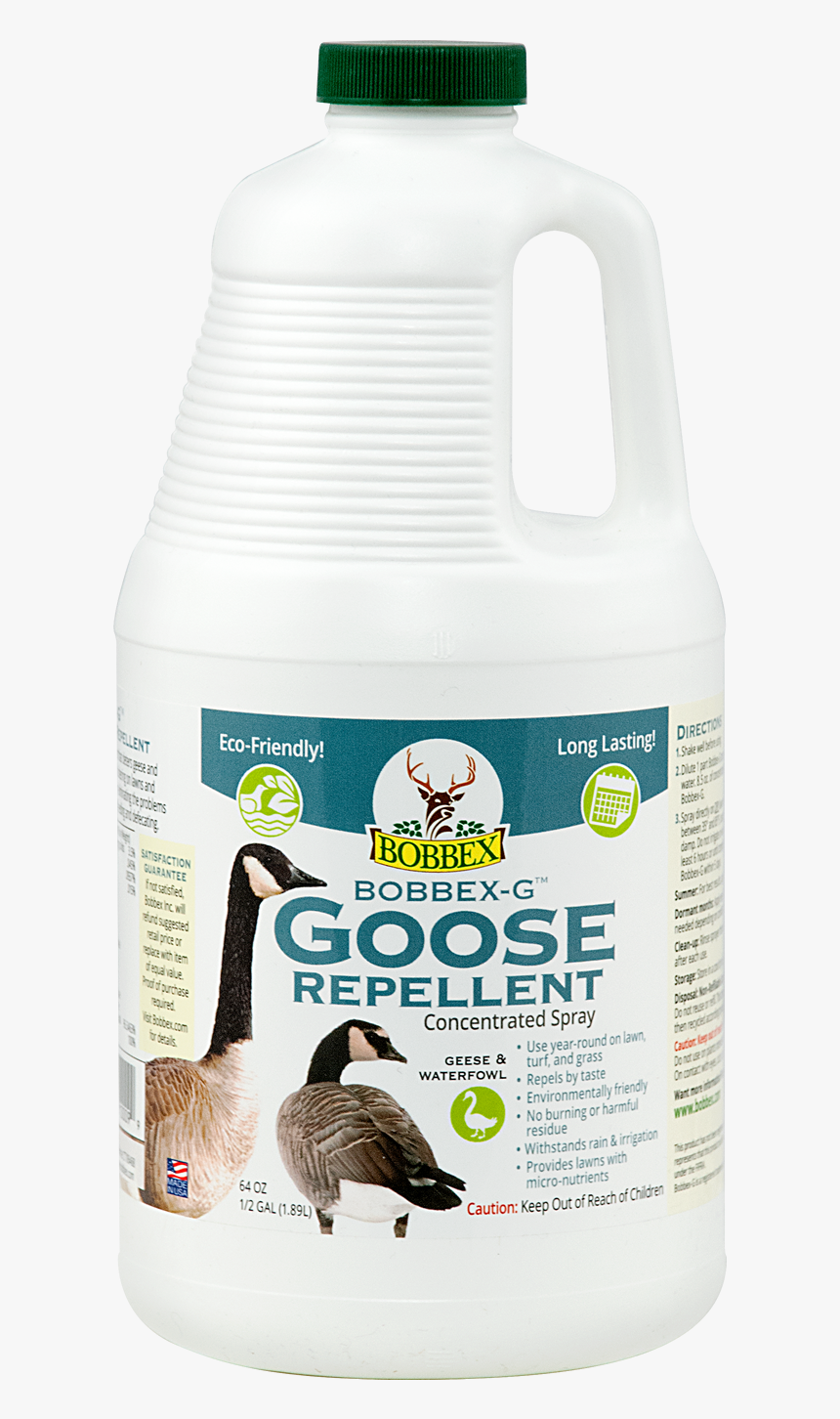 Transparent Long Grass Png, Png Download