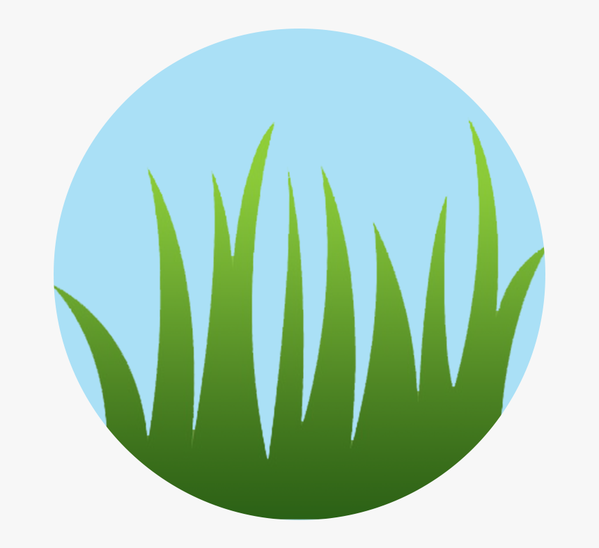Long Grass Png, Transparent Png
