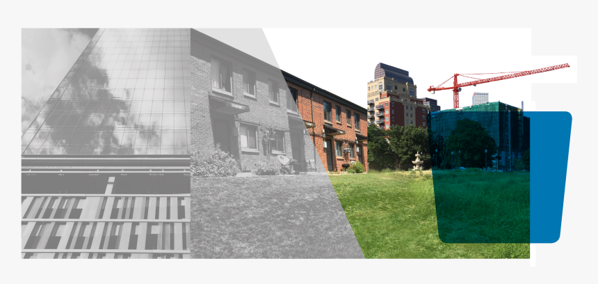 Long Grass Png, Transparent Png