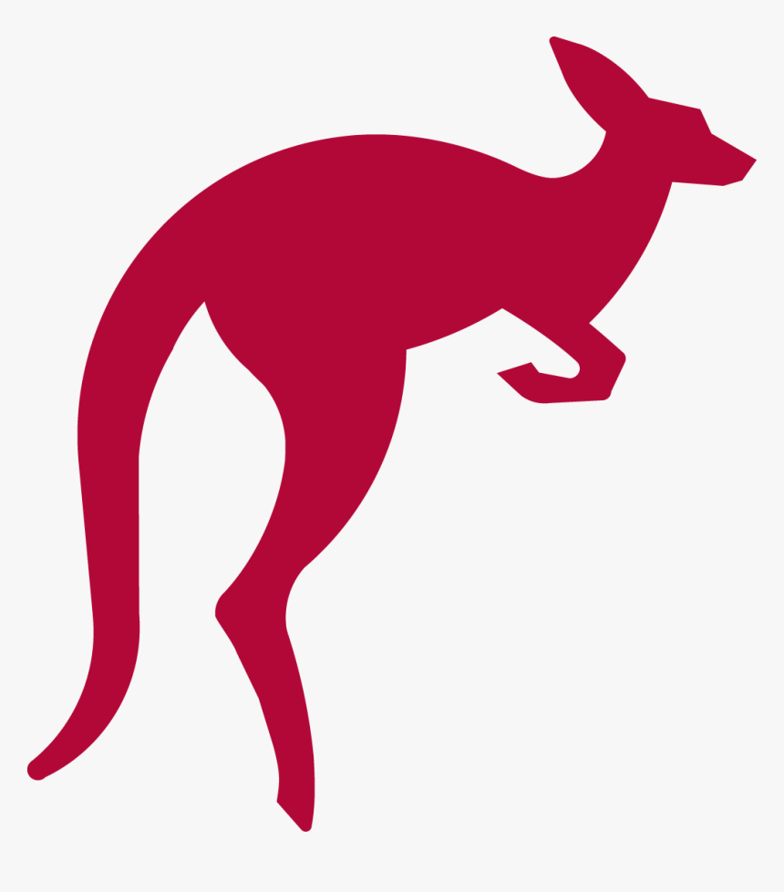 Kangaroo Jumping Png Download Image, Transparent Png