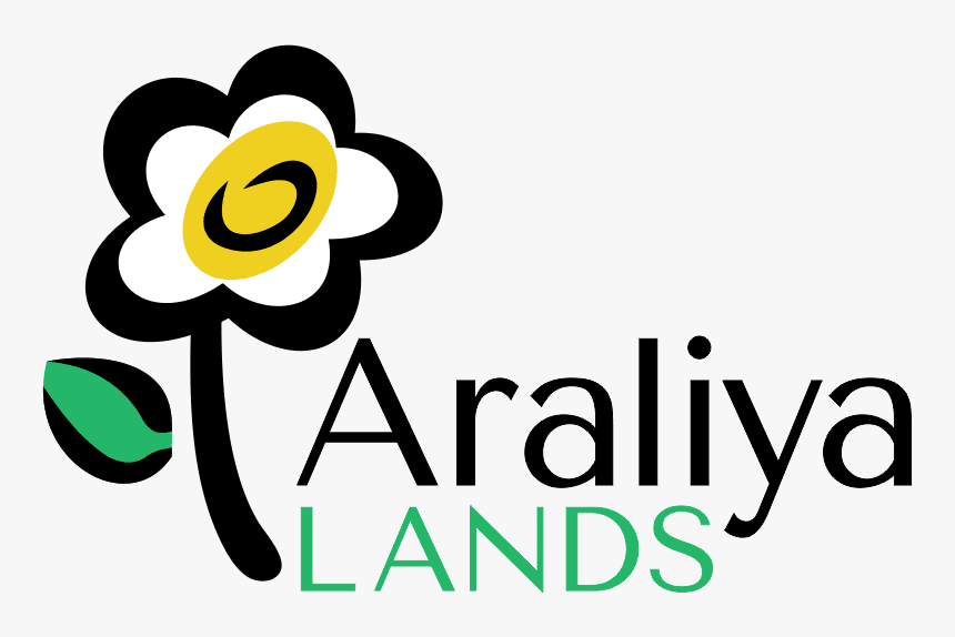 Graphic Design, HD Png Download