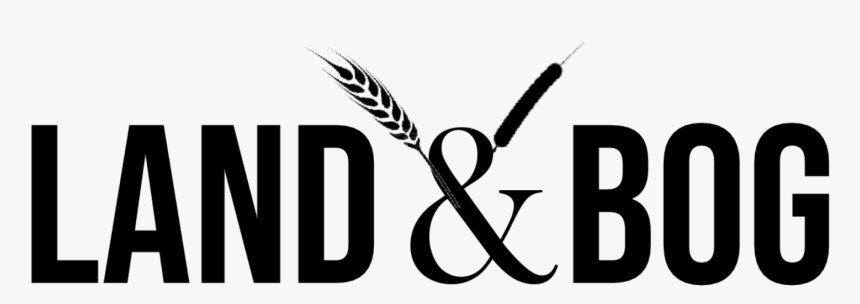 Land & Bog - Fête De La Musique, HD Png Download