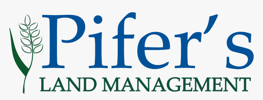 Electric Blue, HD Png Download