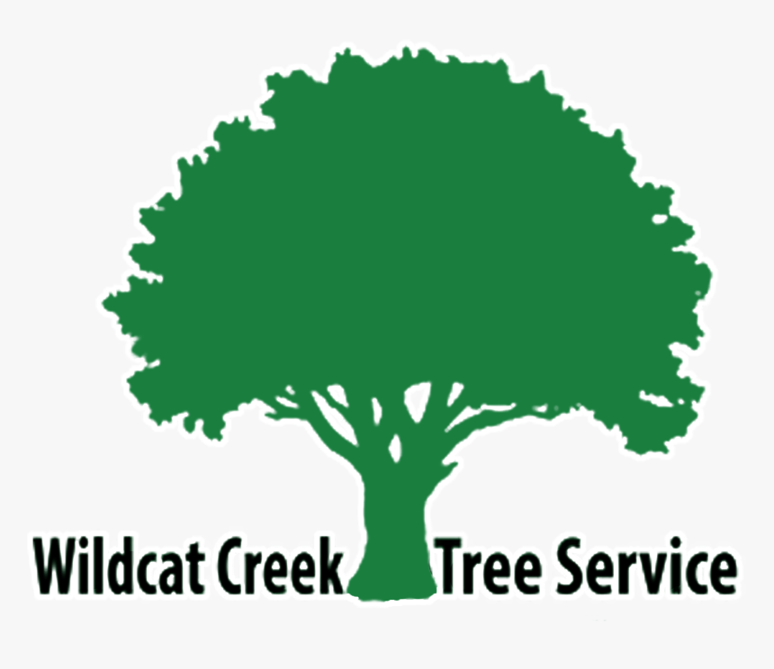 Health And Wellness Yoga, HD Png Download