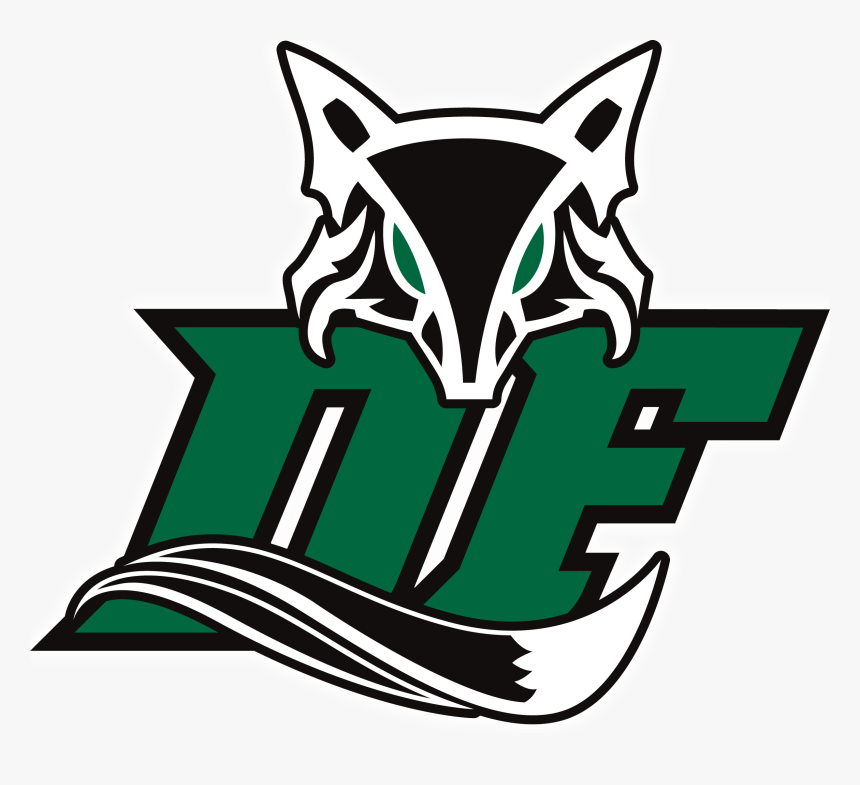 Dfhs 2 - Dutch Fork High Logo, HD Png Download