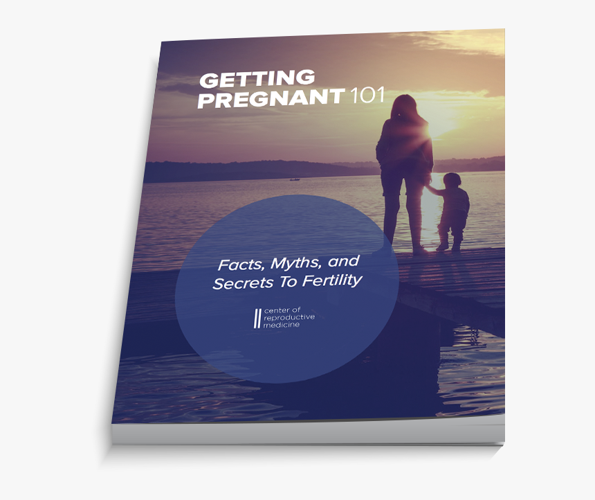 Flyer, HD Png Download