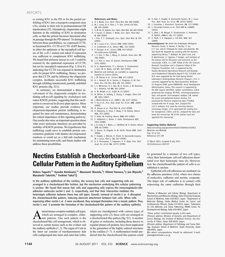 Document, HD Png Download