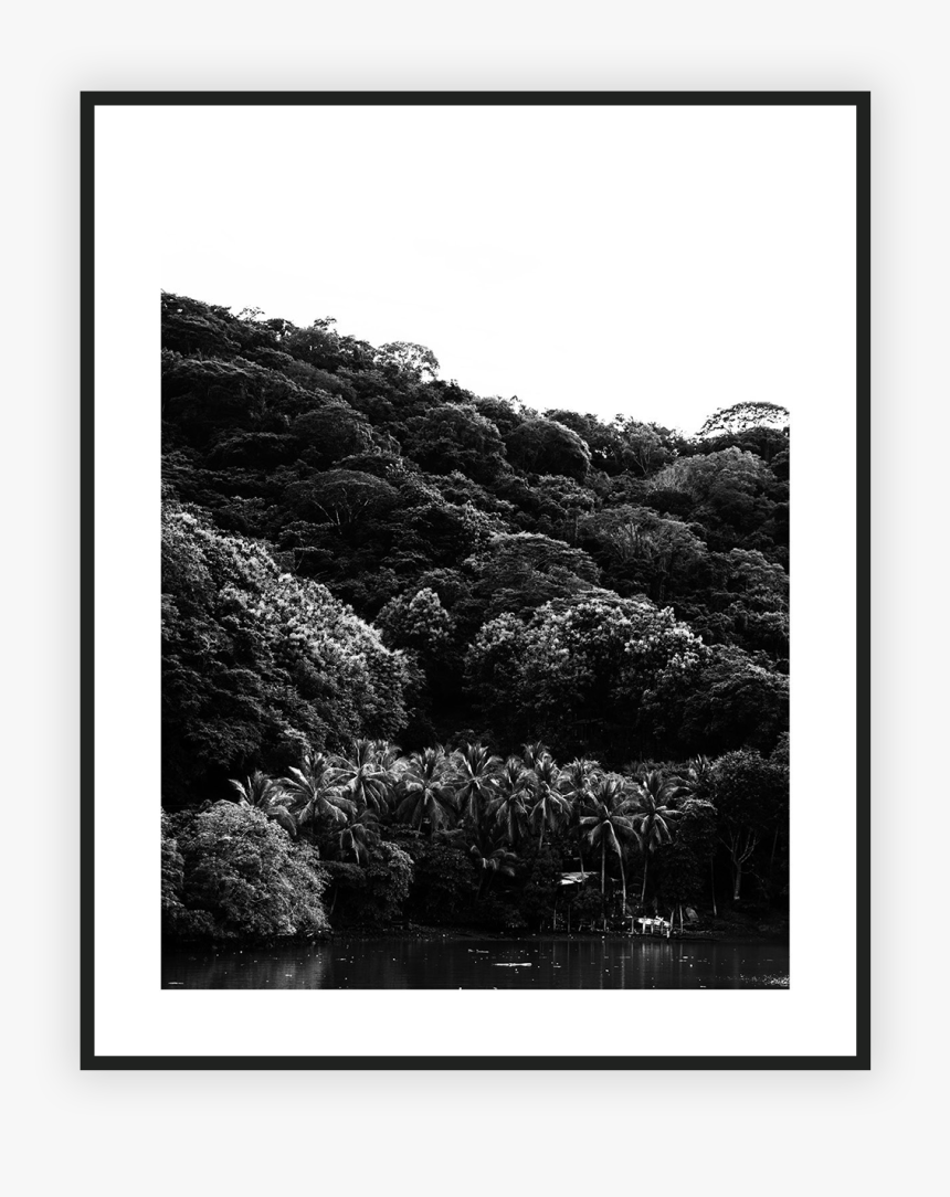 Home/nature/costa Rica Forrest , Png Download - Monochrome, Transparent Png