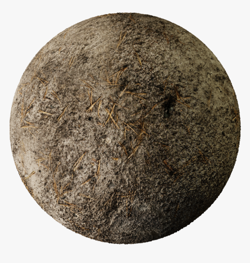 Forrest Png, Transparent Png