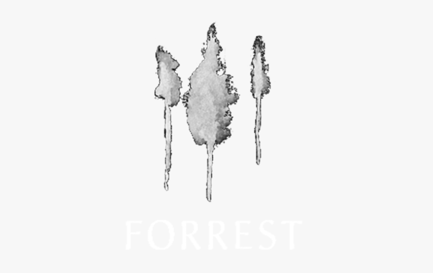 Logo-forrest - Sketch, HD Png Download