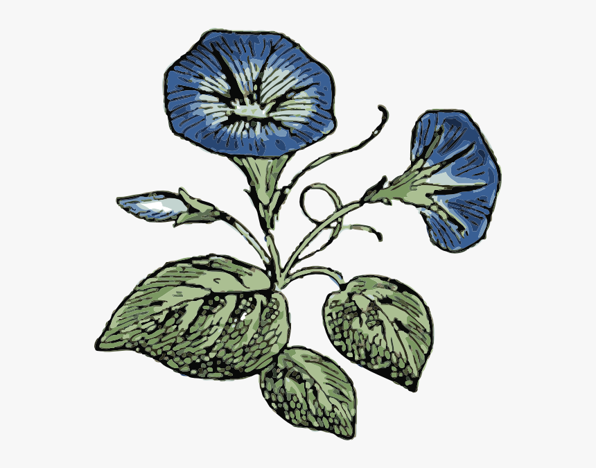 Morning Glory Flowers Svg Clip Arts - Happy Boss Day Tag, HD Png Download