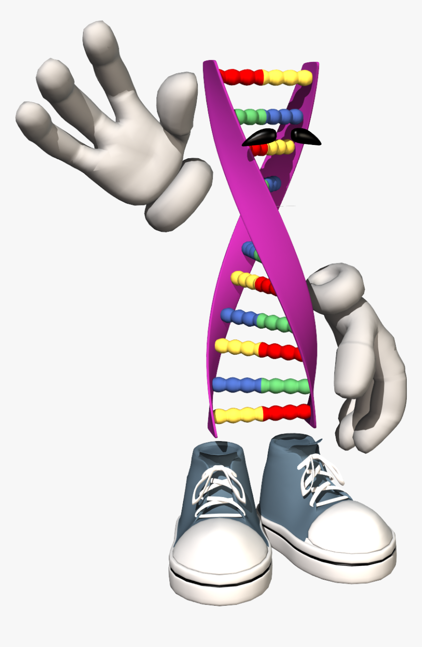 The Hardy Weinberg Equation - Nice Genes, HD Png Download