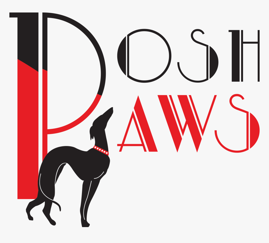 Posh Paws Logo - Dog Catches Something, HD Png Download
