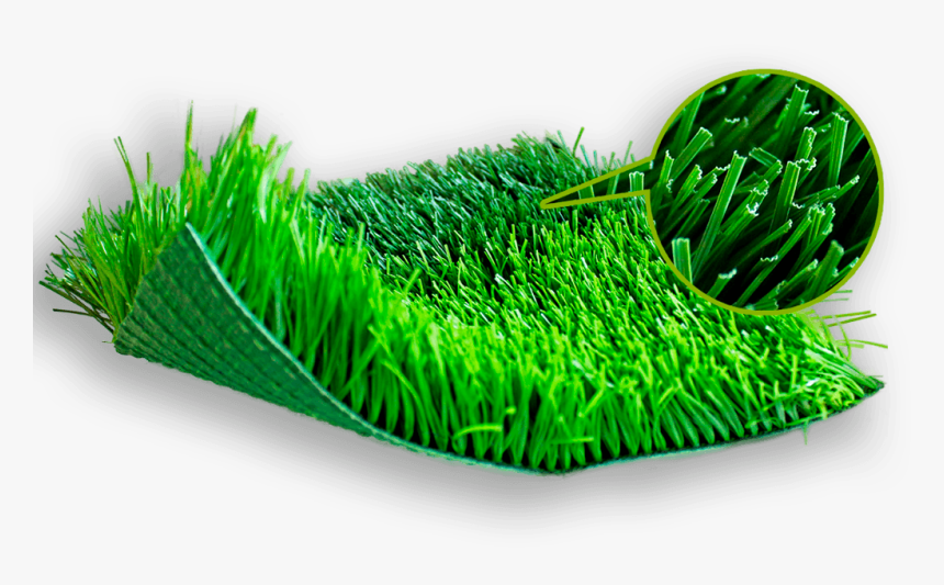 Sweet Grass - Catalogo De Pasto Sintetico, HD Png Download