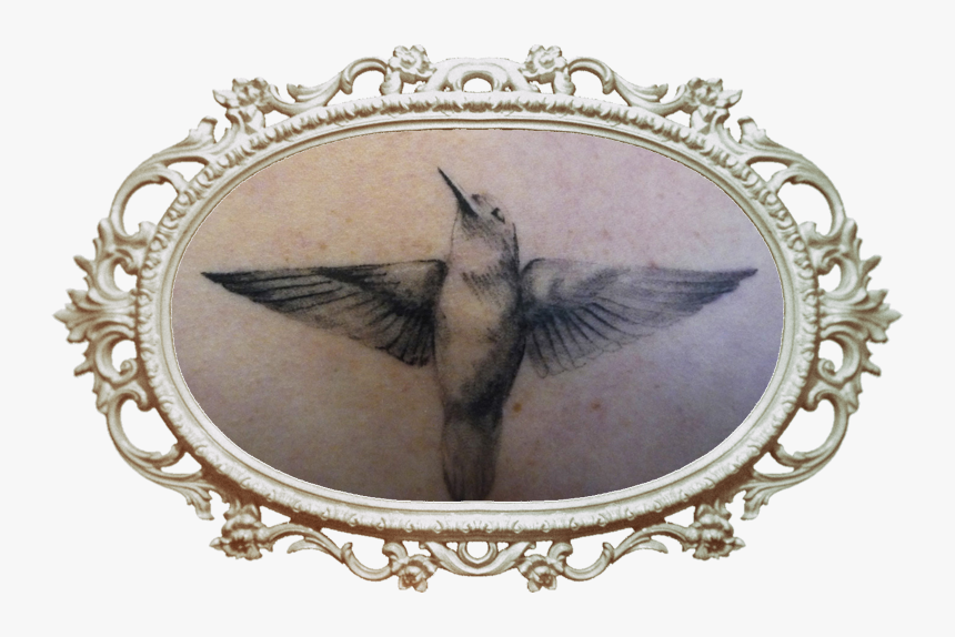 Ruby-throated Hummingbird, HD Png Download