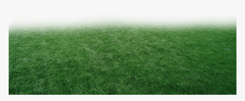 Pasto Y Estadios Png Para Walls - Lawn, Transparent Png