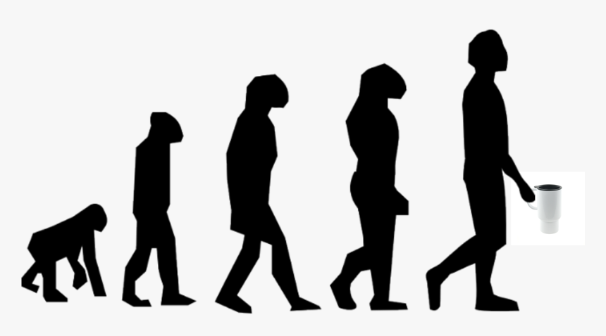 Bear To Human Evolution, HD Png Download