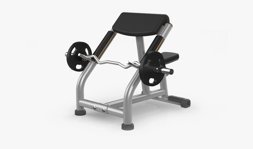 Preacher Curl Bench Matrix, HD Png Download
