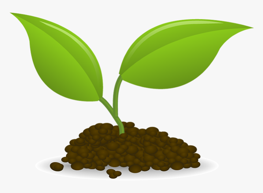 Plant Sowing Seedling Clip Art - Seedling Clip Art, HD Png Download